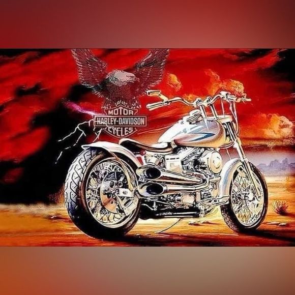 Examples of Harley magnets - Picture 16 of 16